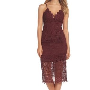 Bardot Versailles lace dress